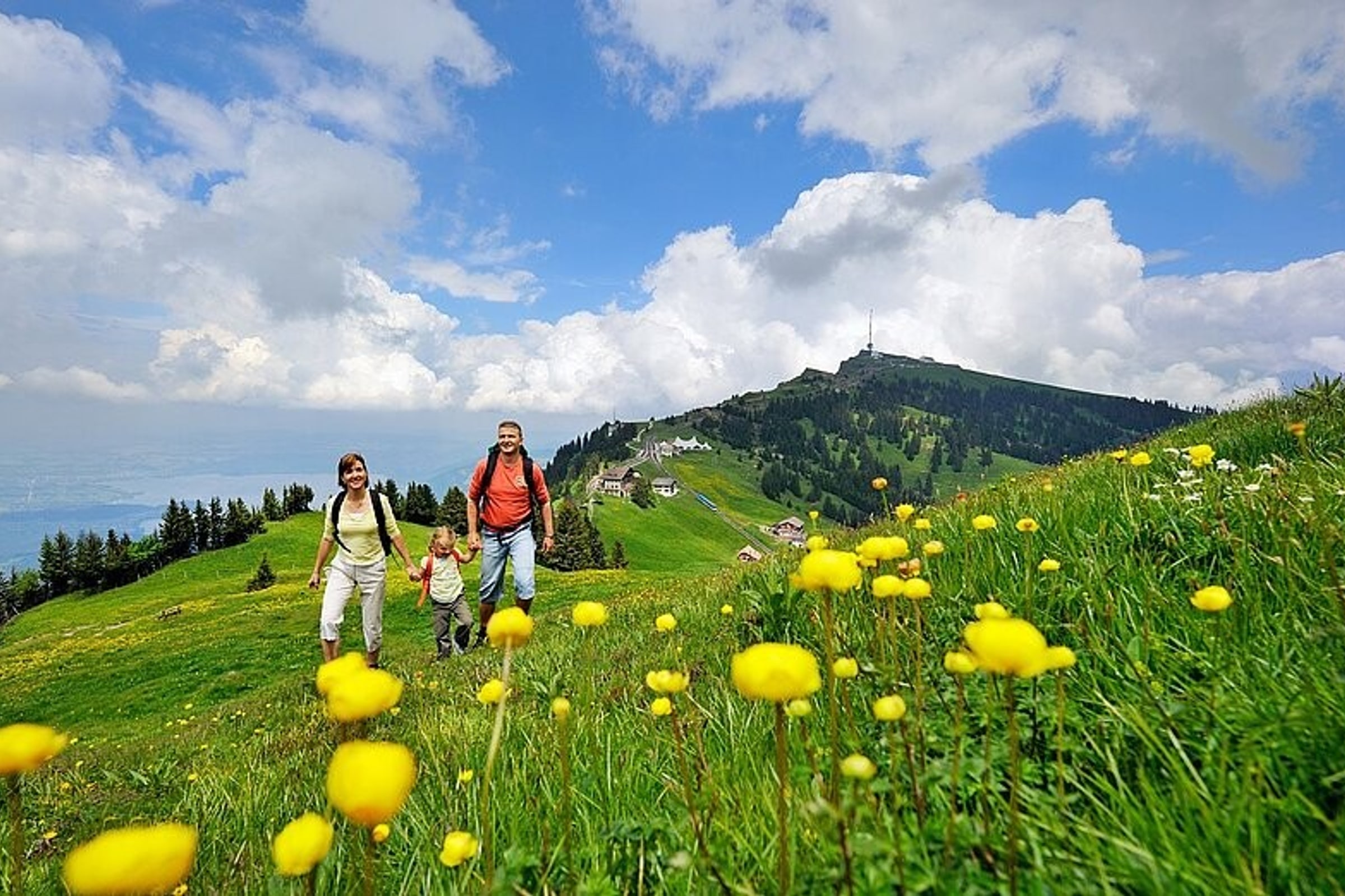 Rigi - Queen of the Mountains (from Zurich)
