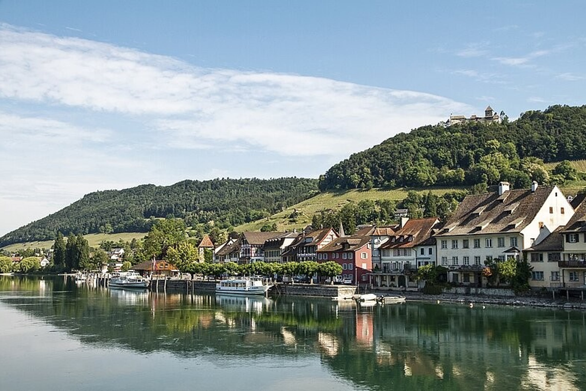 Rhine Falls & Stein am Rhein