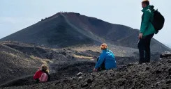 Mount Etna Half-Day Tour - Small Groups From Taormina