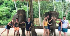 Aonang Elephant Sanctuary Experience