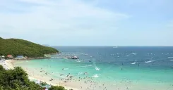 Koh Larn Speedboat Day Trip from Pattaya with Lunch and Water Activities