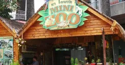 KL Tower Mini Zoo