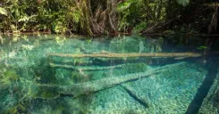 Hidden Crystal Lagoon Kayaking and ATV Riding in Krabi