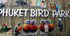 Phuket Bird Park Ticket