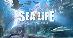 SEA LIFE Bangkok Ocean World Ticket