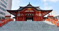 Tokyo Private 8 Hours Tour