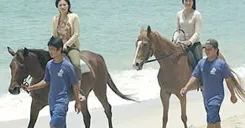 Horseback Riding Experience in Phuket