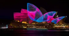 Vivid Sydney Catamaran Cruise with Canapes and Drink