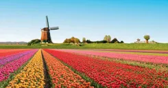 Keukenhof Gardens Fast Track Entry Ticket with Round Trip Bus Transfers from Amsterdam
