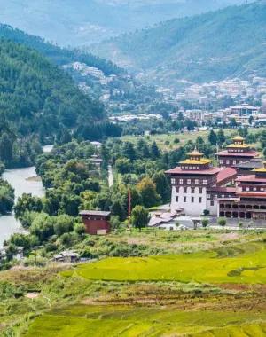 Thimpu