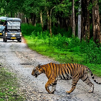 Kabini