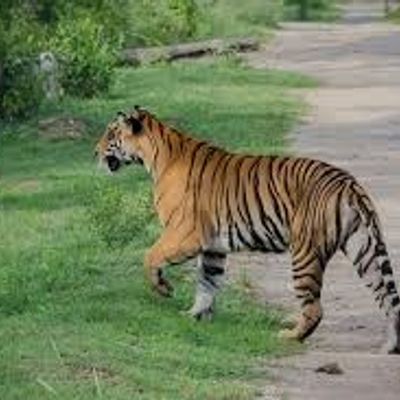 Nagarhole National Park