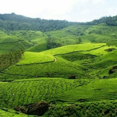Munnar