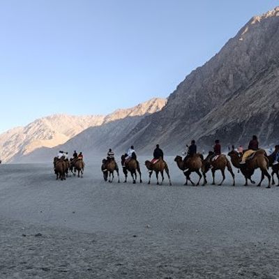 Nubra Valley