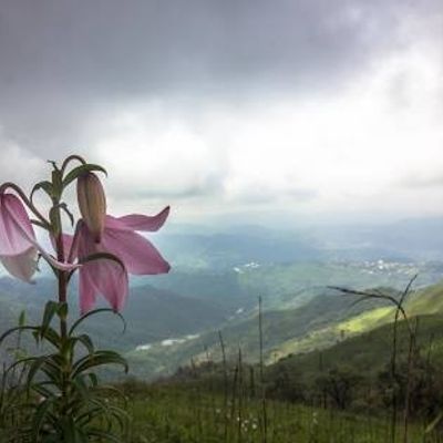 Ukhrul