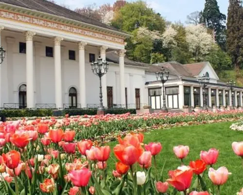 Black Forest and Baden-Baden Day Trip from Frankfurt