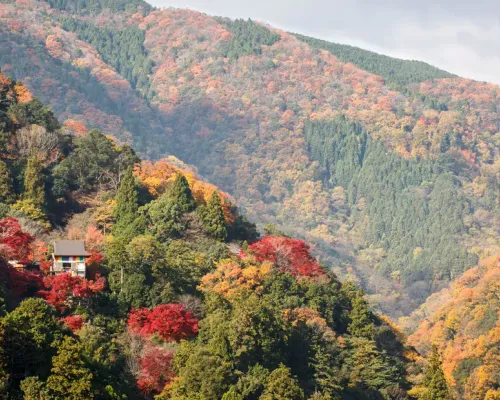 Kyoto Small-group Minivan Tour