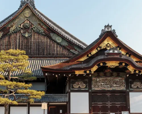 Half Day Walking Tour of Kyoto - Nijo Castle, Nishiki Market and Gion