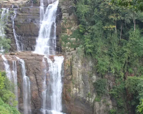 Nuwara Eliya 2 Day Tour and World's End Hike from Colombo