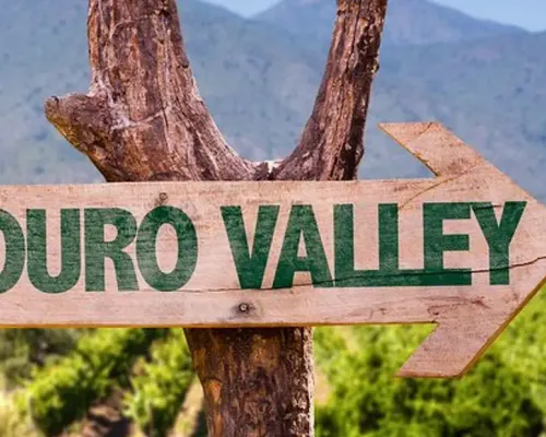 Douro Valley Tour: Wine Tasting, River Cruise and Lunch From Porto