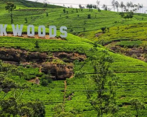 Nuwara Eliya 2 Day Tour from Colombo