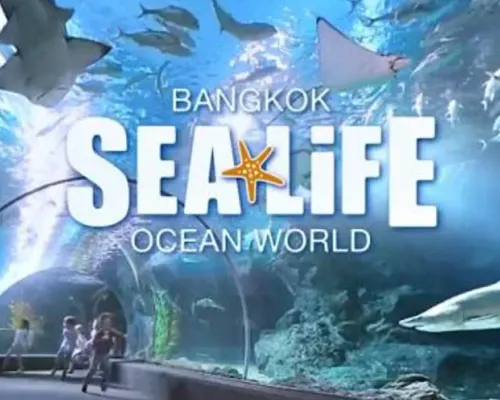 SEA LIFE Bangkok Ocean World Ticket