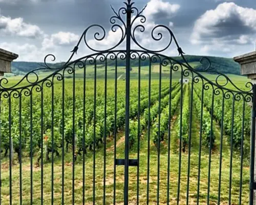 Saint Emilion Half-Day Trip with Wine Tasting & Winery Visit from Bordeaux