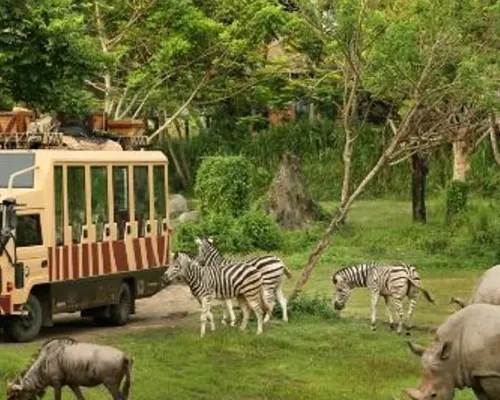 Bali Safari and Marine Park Tickets (Domestic Rate)