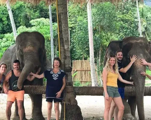 Aonang Elephant Sanctuary Experience