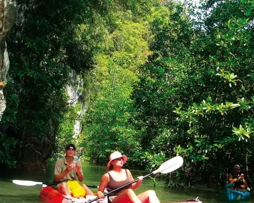 Krabi Mangrove Kayak Trip