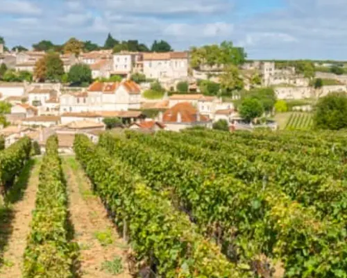 Medoc or St-Emilion Small-Group Wine Tasting and Chateaux Tour from Bordeaux