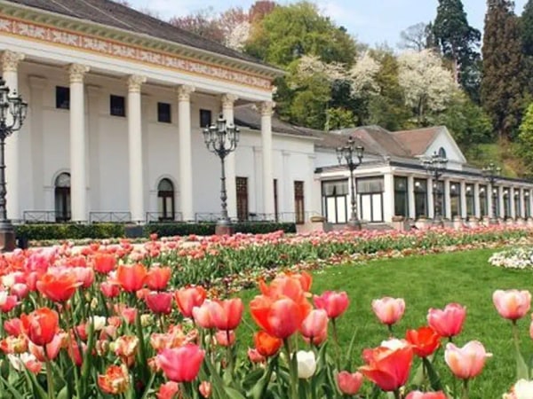 Black Forest and Baden-Baden Day Trip from Frankfurt
