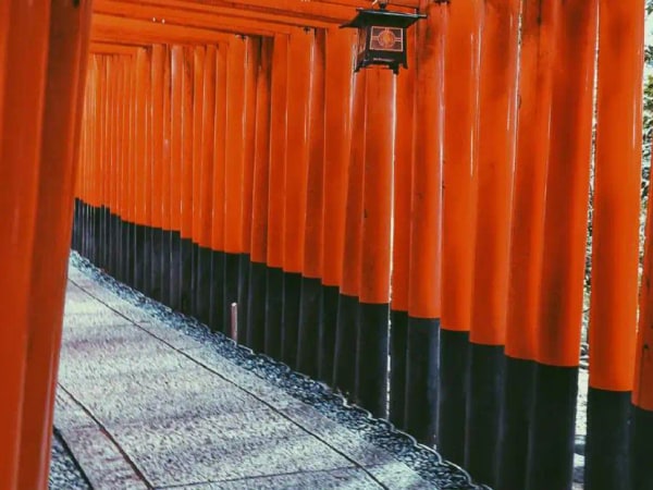 Fushimi Inari Shrine Walking Tour