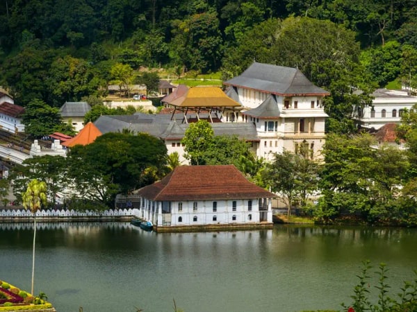 Kandy Day Tour from Colombo