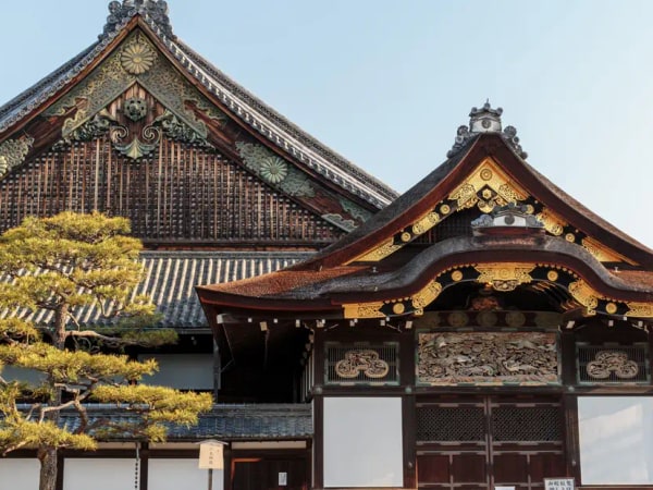 Half Day Walking Tour of Kyoto - Nijo Castle, Nishiki Market and Gion