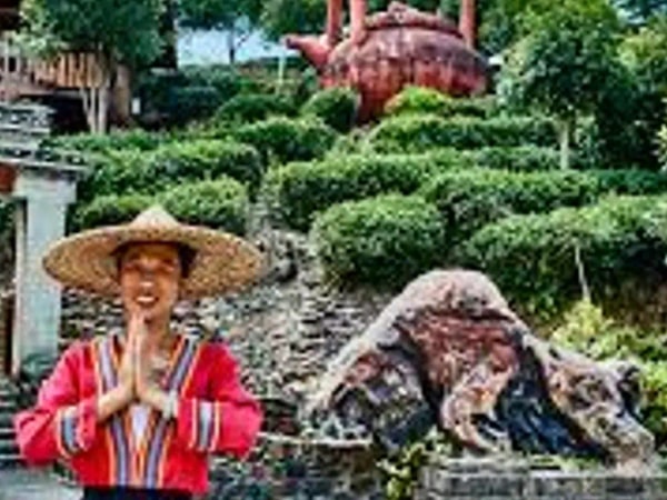 Mount Yao & Tea Plantation Private Half Day Tour