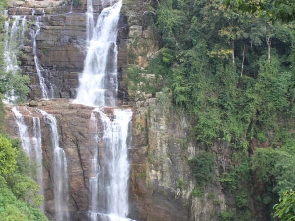 Nuwara Eliya 2 Day Tour and World's End Hike from Colombo