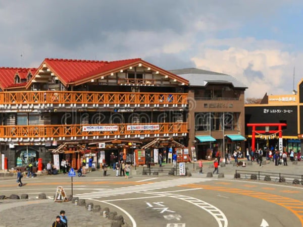 Mt. Fuji and Hakone Day Trip from Tokyo