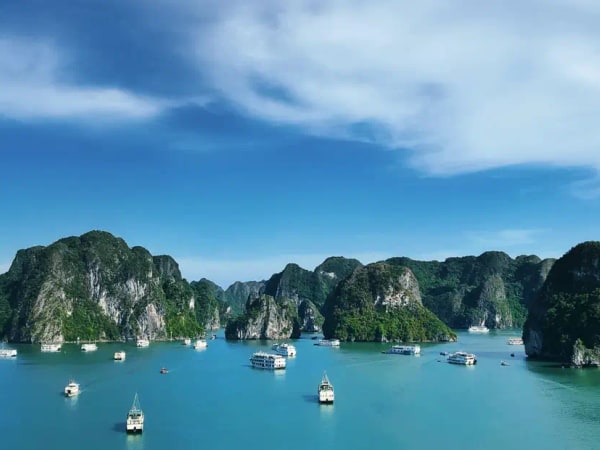Halong Bay Day Tour from Hanoi