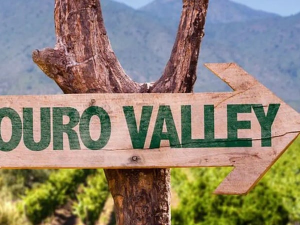 Douro Valley Tour: Wine Tasting, River Cruise and Lunch From Porto