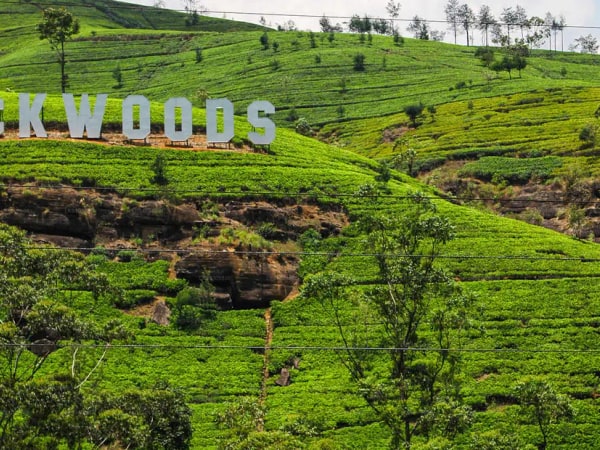 Nuwara Eliya 2 Day Tour from Colombo