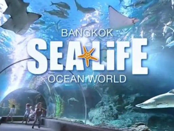 SEA LIFE Bangkok Ocean World Ticket
