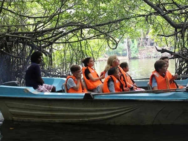 Balapitiya River Safari and Nature Tour from Colombo