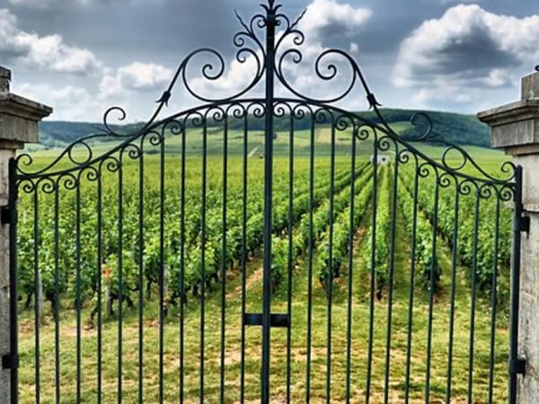 Saint Emilion Half-Day Trip with Wine Tasting & Winery Visit from Bordeaux