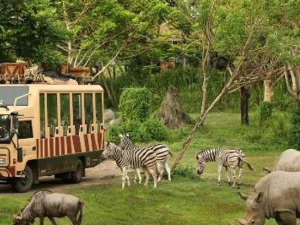 Bali Safari and Marine Park Tickets (Domestic Rate)