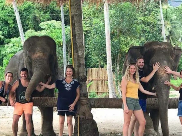 Aonang Elephant Sanctuary Experience