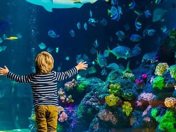 SEA LIFE Munich