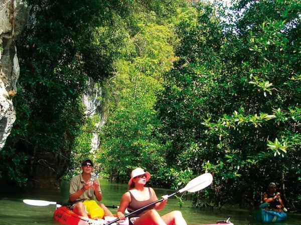 Krabi Mangrove Kayak Trip