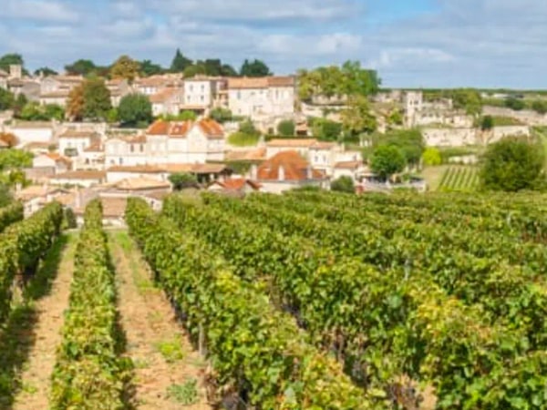 Medoc or St-Emilion Small-Group Wine Tasting and Chateaux Tour from Bordeaux