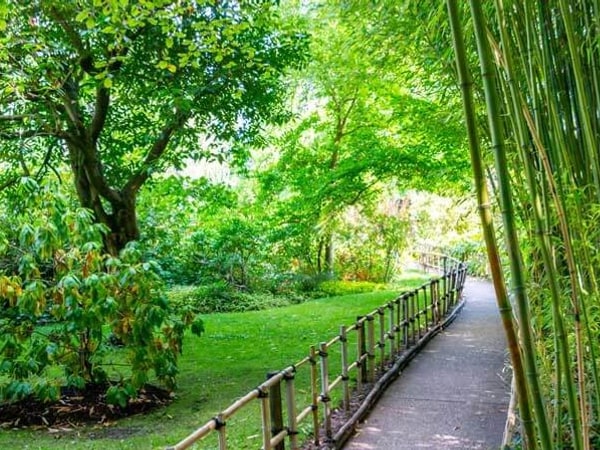 Half day trip Giverny Monet's Gardens Excursion at your leisure from Paris
